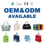 Custom Waterproof Laptop Bag with Two Straps